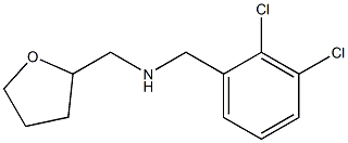 [(2,3-dichlorophenyl)methyl](oxolan-2-ylmethyl)amine,,结构式