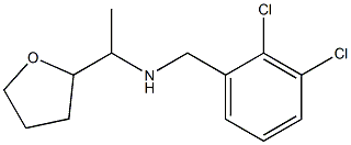 [(2,3-dichlorophenyl)methyl][1-(oxolan-2-yl)ethyl]amine Struktur