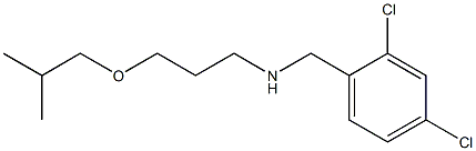 [(2,4-dichlorophenyl)methyl][3-(2-methylpropoxy)propyl]amine Struktur