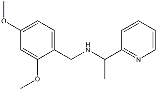 [(2,4-dimethoxyphenyl)methyl][1-(pyridin-2-yl)ethyl]amine|