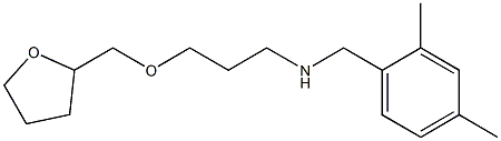 [(2,4-dimethylphenyl)methyl][3-(oxolan-2-ylmethoxy)propyl]amine 化学構造式