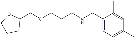 [(2,4-dimethylphenyl)methyl][3-(oxolan-2-ylmethoxy)propyl]amine Structure