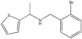  [(2-bromophenyl)methyl][1-(thiophen-2-yl)ethyl]amine