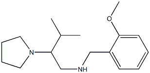 [(2-methoxyphenyl)methyl][3-methyl-2-(pyrrolidin-1-yl)butyl]amine|