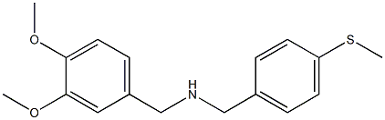 [(3,4-dimethoxyphenyl)methyl]({[4-(methylsulfanyl)phenyl]methyl})amine