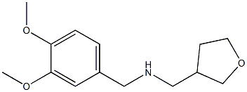 [(3,4-dimethoxyphenyl)methyl](oxolan-3-ylmethyl)amine|