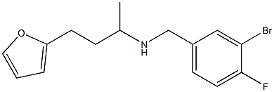 [(3-bromo-4-fluorophenyl)methyl][4-(furan-2-yl)butan-2-yl]amine,,结构式