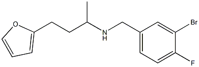 [(3-bromo-4-fluorophenyl)methyl][4-(furan-2-yl)butan-2-yl]amine Struktur