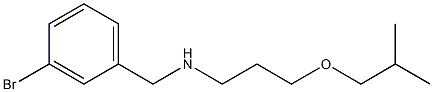 [(3-bromophenyl)methyl][3-(2-methylpropoxy)propyl]amine 化学構造式