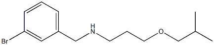 [(3-bromophenyl)methyl][3-(2-methylpropoxy)propyl]amine