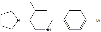 [(4-bromophenyl)methyl][3-methyl-2-(pyrrolidin-1-yl)butyl]amine