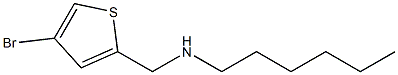 [(4-bromothiophen-2-yl)methyl](hexyl)amine