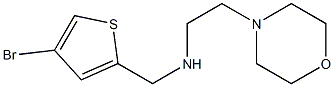  [(4-bromothiophen-2-yl)methyl][2-(morpholin-4-yl)ethyl]amine