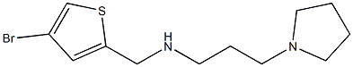 [(4-bromothiophen-2-yl)methyl][3-(pyrrolidin-1-yl)propyl]amine|