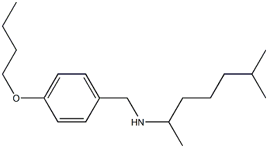  [(4-butoxyphenyl)methyl](6-methylheptan-2-yl)amine