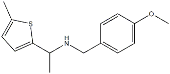 [(4-methoxyphenyl)methyl][1-(5-methylthiophen-2-yl)ethyl]amine