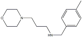 [(4-methylphenyl)methyl][3-(morpholin-4-yl)propyl]amine|