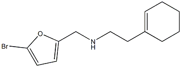 [(5-bromofuran-2-yl)methyl][2-(cyclohex-1-en-1-yl)ethyl]amine 结构式