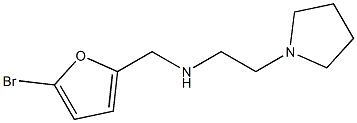 [(5-bromofuran-2-yl)methyl][2-(pyrrolidin-1-yl)ethyl]amine 结构式