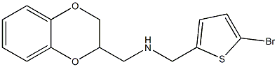 [(5-bromothiophen-2-yl)methyl](2,3-dihydro-1,4-benzodioxin-2-ylmethyl)amine Struktur