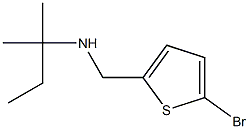 [(5-bromothiophen-2-yl)methyl](2-methylbutan-2-yl)amine|