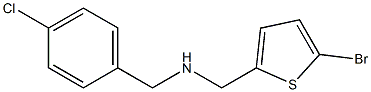 [(5-bromothiophen-2-yl)methyl][(4-chlorophenyl)methyl]amine