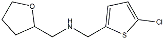  [(5-chlorothiophen-2-yl)methyl](oxolan-2-ylmethyl)amine