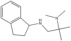 [1-(2,3-dihydro-1H-inden-1-ylamino)-2-methylpropan-2-yl]dimethylamine 化学構造式