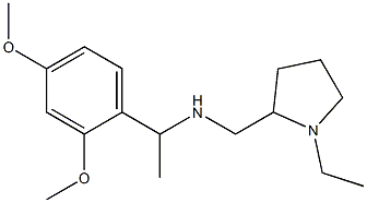  [1-(2,4-dimethoxyphenyl)ethyl][(1-ethylpyrrolidin-2-yl)methyl]amine