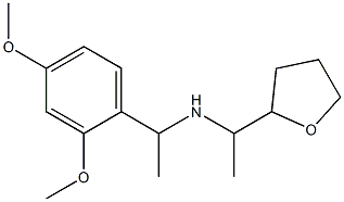 [1-(2,4-dimethoxyphenyl)ethyl][1-(oxolan-2-yl)ethyl]amine