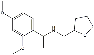  [1-(2,4-dimethoxyphenyl)ethyl][1-(oxolan-2-yl)ethyl]amine