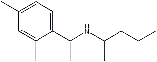 [1-(2,4-dimethylphenyl)ethyl](pentan-2-yl)amine,,结构式