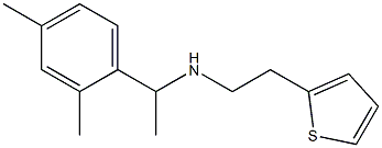 [1-(2,4-dimethylphenyl)ethyl][2-(thiophen-2-yl)ethyl]amine