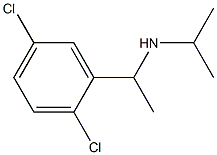 [1-(2,5-dichlorophenyl)ethyl](propan-2-yl)amine 结构式