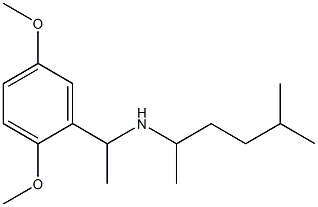 [1-(2,5-dimethoxyphenyl)ethyl](5-methylhexan-2-yl)amine 结构式