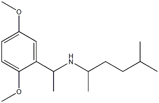 [1-(2,5-dimethoxyphenyl)ethyl](5-methylhexan-2-yl)amine|