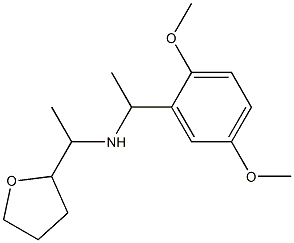  [1-(2,5-dimethoxyphenyl)ethyl][1-(oxolan-2-yl)ethyl]amine