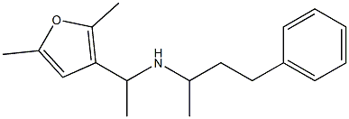 [1-(2,5-dimethylfuran-3-yl)ethyl](4-phenylbutan-2-yl)amine|