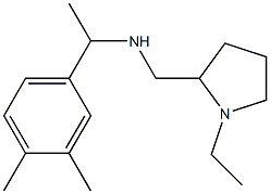  [1-(3,4-dimethylphenyl)ethyl][(1-ethylpyrrolidin-2-yl)methyl]amine