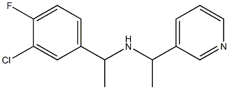 [1-(3-chloro-4-fluorophenyl)ethyl][1-(pyridin-3-yl)ethyl]amine|