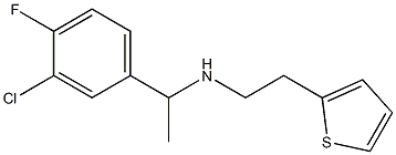 [1-(3-chloro-4-fluorophenyl)ethyl][2-(thiophen-2-yl)ethyl]amine,,结构式