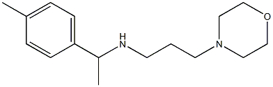 [1-(4-methylphenyl)ethyl][3-(morpholin-4-yl)propyl]amine