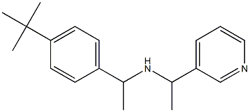 [1-(4-tert-butylphenyl)ethyl][1-(pyridin-3-yl)ethyl]amine Struktur