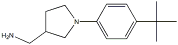 [1-(4-tert-butylphenyl)pyrrolidin-3-yl]methylamine Structure