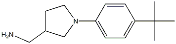  [1-(4-tert-butylphenyl)pyrrolidin-3-yl]methylamine