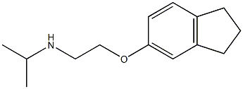 [2-(2,3-dihydro-1H-inden-5-yloxy)ethyl](propan-2-yl)amine Structure