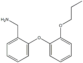 [2-(2-propoxyphenoxy)phenyl]methanamine|