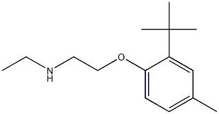 [2-(2-tert-butyl-4-methylphenoxy)ethyl](ethyl)amine 化学構造式