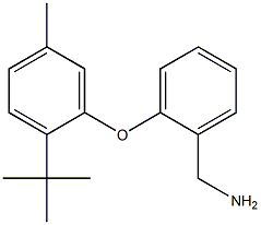 [2-(2-tert-butyl-5-methylphenoxy)phenyl]methanamine,,结构式