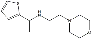 [2-(morpholin-4-yl)ethyl][1-(thiophen-2-yl)ethyl]amine 结构式